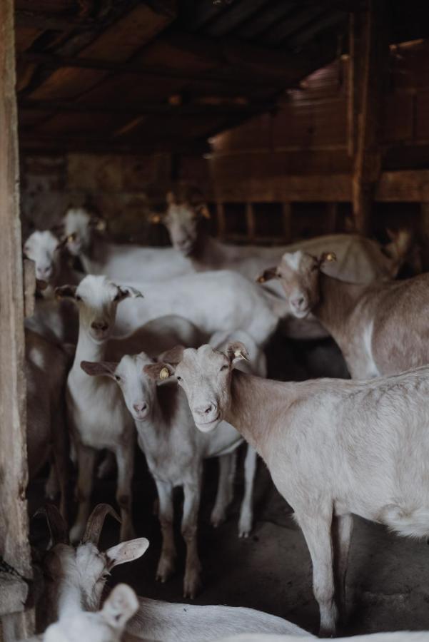 Rancho I Vancho Na Kata Omorani Eksteriør billede